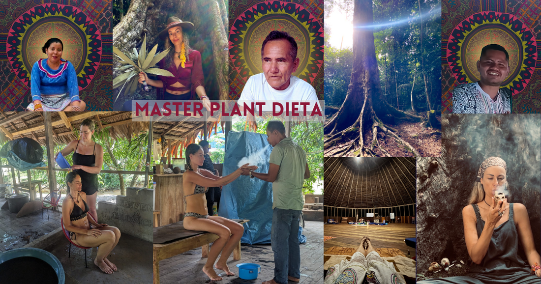 What is a Master Plant Dieta ?