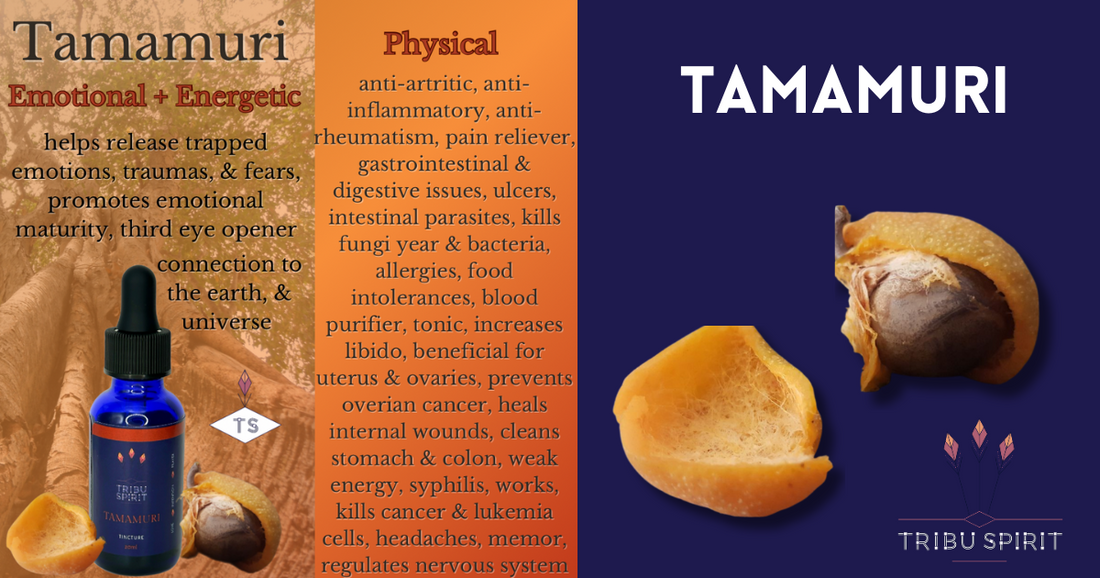 Tamamuri The Secret Amazonian Tree to Healing Emotional Blockages