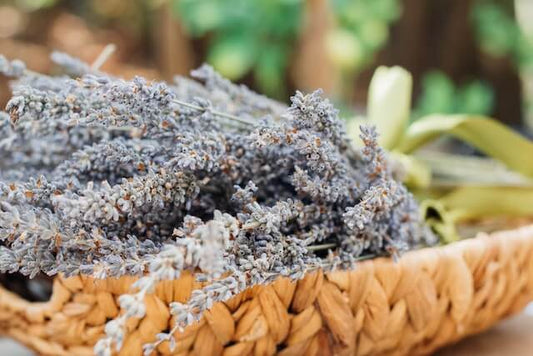 Herbs and Resins to Smudge for Depression: Nature's Soothing Remedy