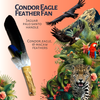 Condor Eagle Feather Fan - Jaguar Palo Santo Handle