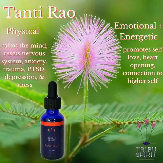 Tanti Rao - Master Plant Tincture