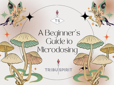 A Beginners Guide to Microdosing